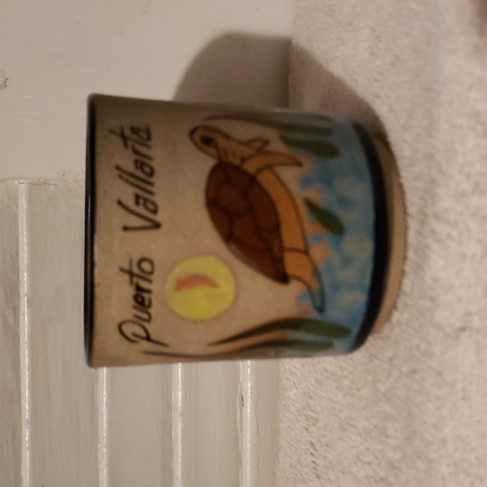 Puerto Vallarta MUG